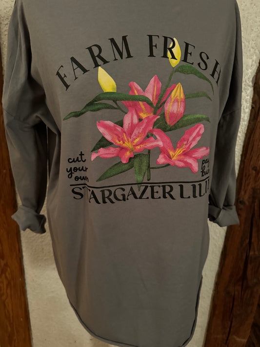 Langarmshirt mit Druck vorn in grau