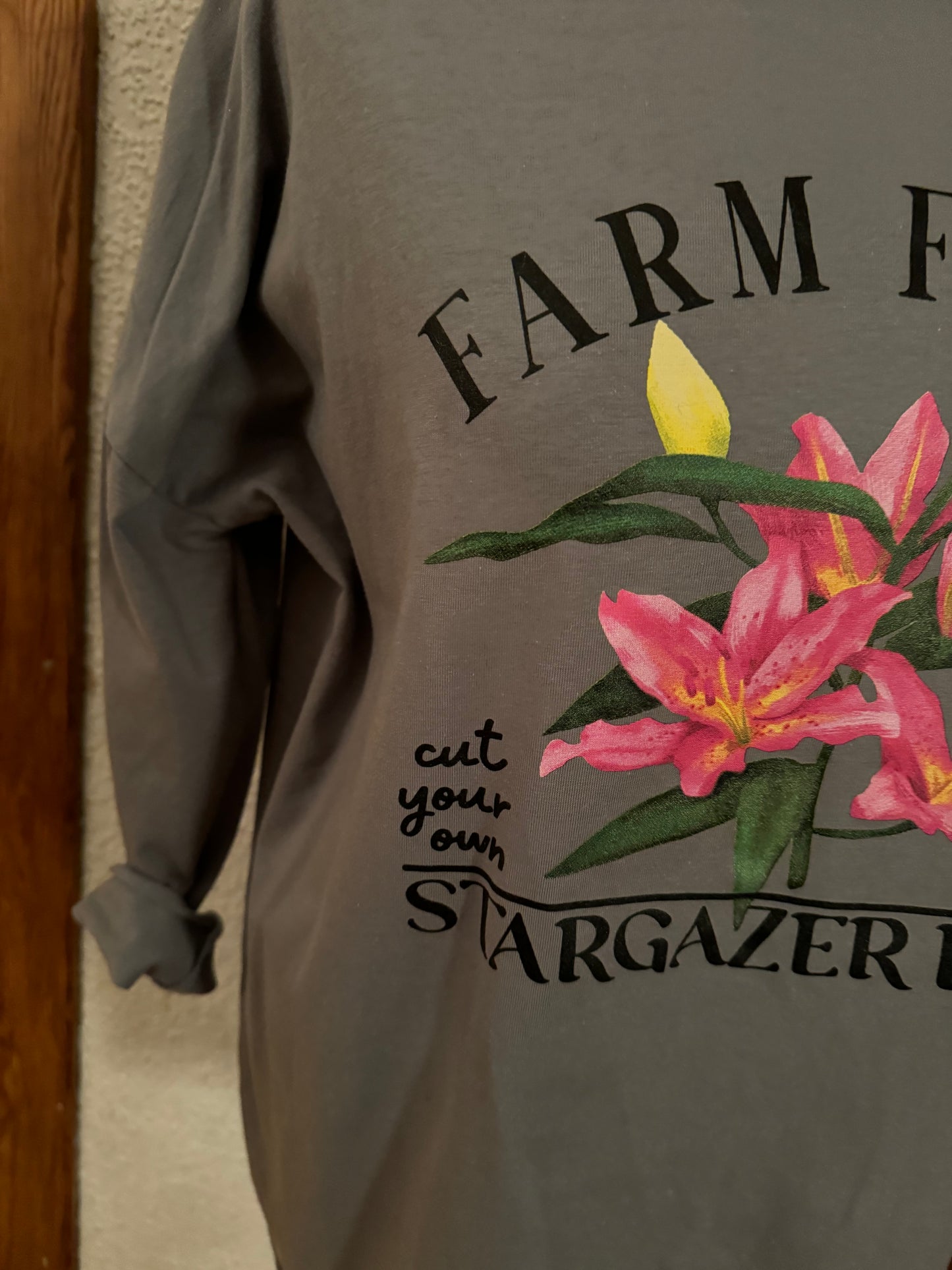 Langarmshirt mit Druck vorn in grau