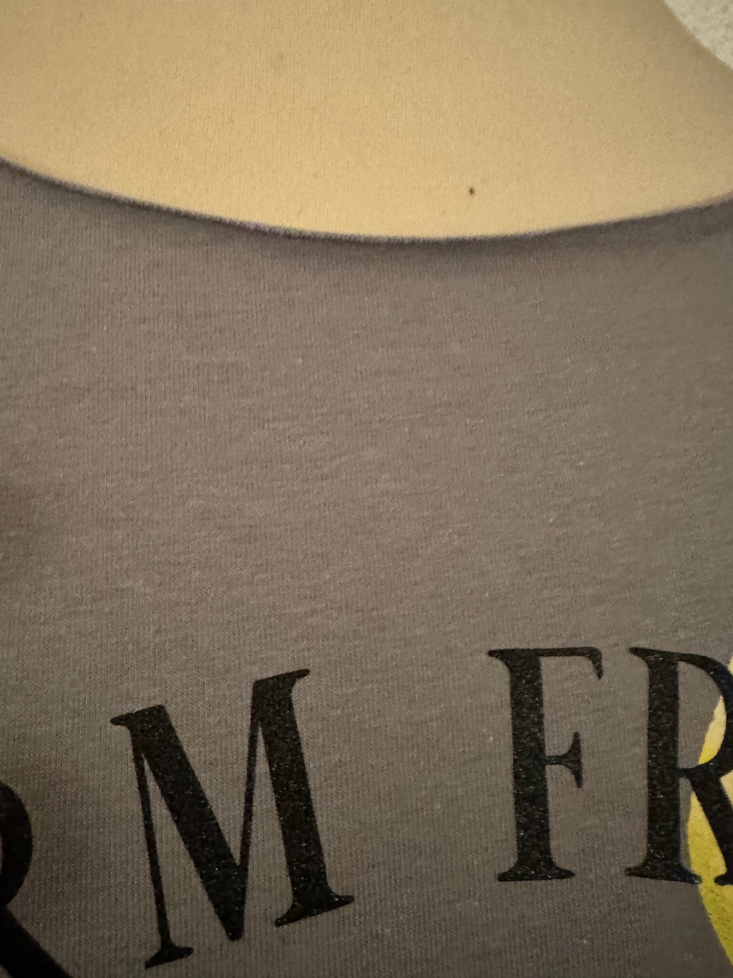 Langarmshirt mit Druck vorn in grau